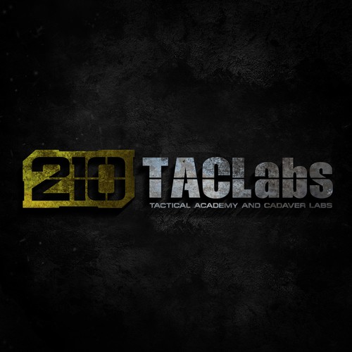 210 TacLabs - Logo Proposal