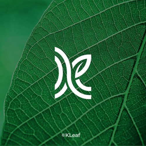 K + leaf icon by idStudio