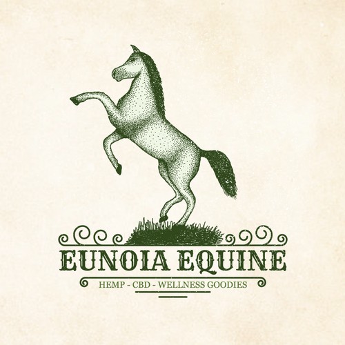 Eunoia Equine fun Eunoia Equine needs a fun and memand memorable and detailed logo