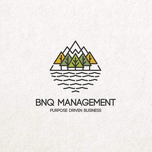 BNQ Management