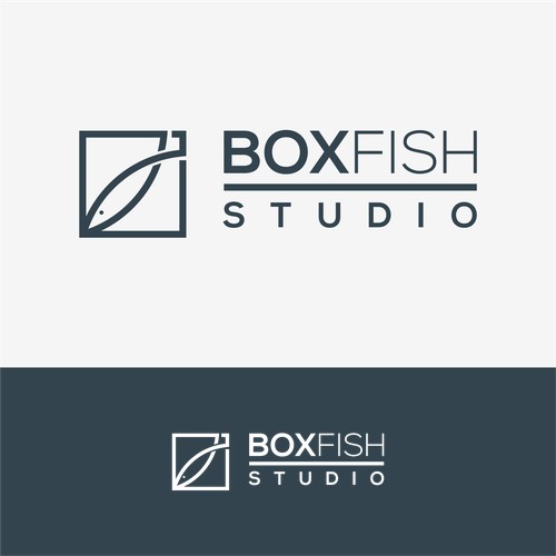 boxfish studio