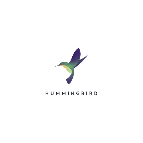 Modern and elegant hummingbird logo