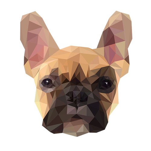 Low Poly French Bulldog