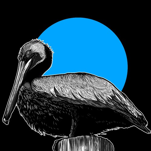 Pelican Bird