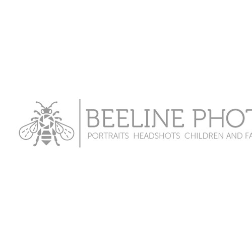 The  Photographer Bee