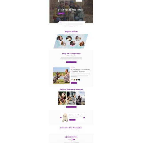 Contemporary Dog/Cat Auction Website Design Layout-Appeals Women