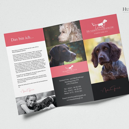 Dog photographer brochure