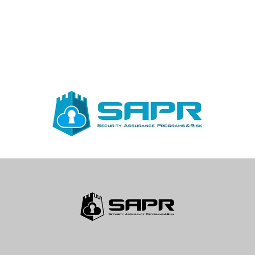 security program company logo 