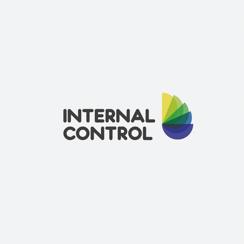 Internal Control