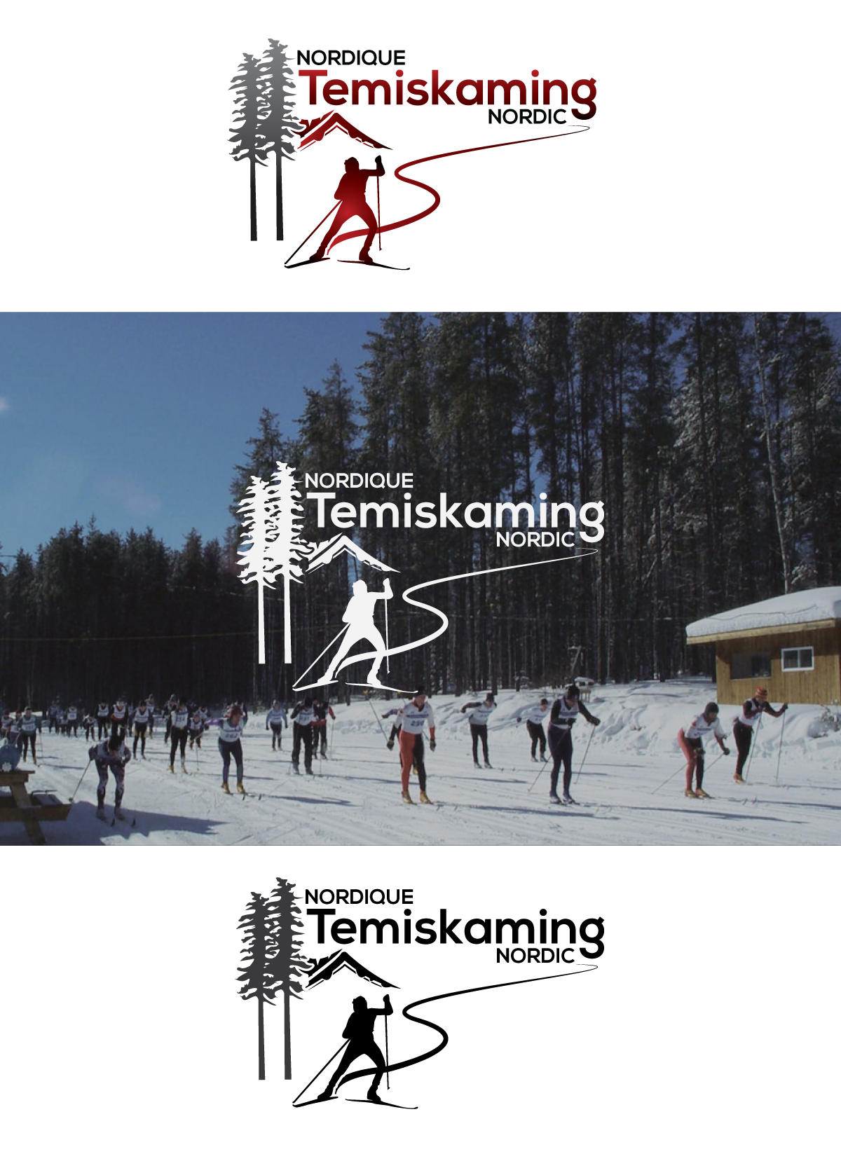Temiskaming Nordic Centre - a modern logo