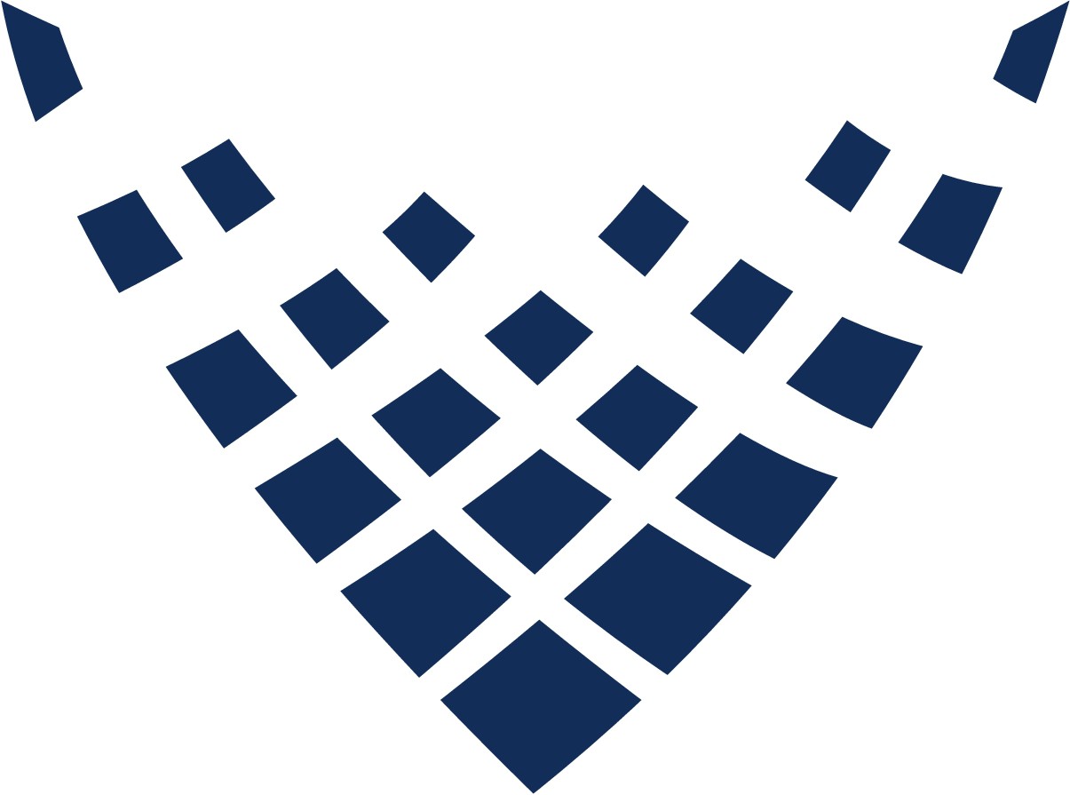 Vidarr Website Logo