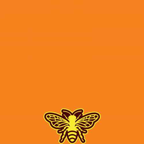 LOGO ANIMATION FOR BLAZINGB