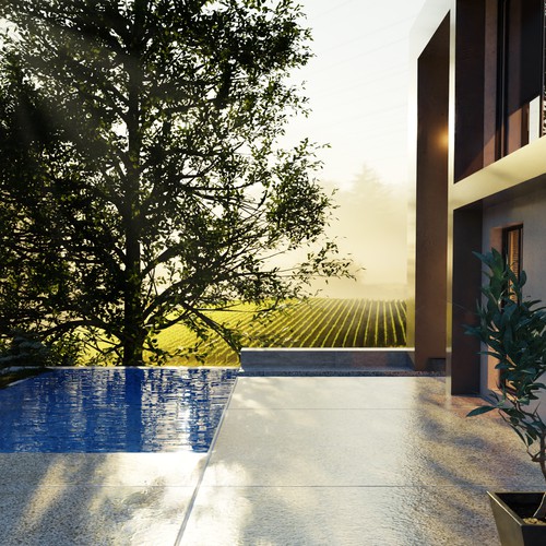 3d render of a vineyard villa