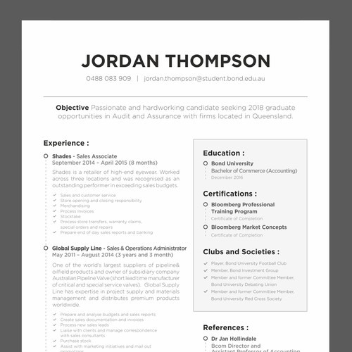 Professional Resume for Accountant