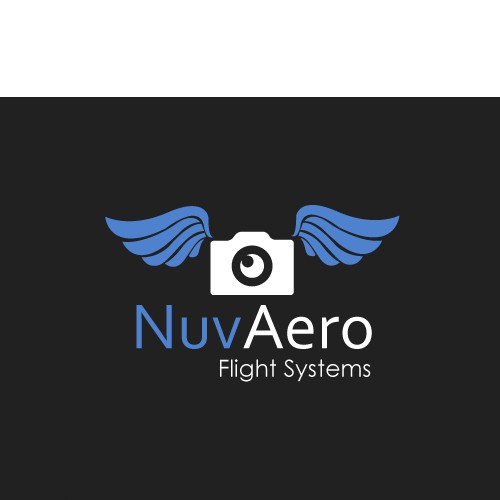 CREATIVITY REQUIRED! New logo for aerospace company!