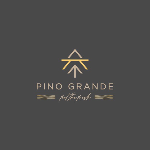 pino grande