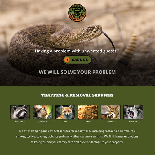 Onepage website design concept for Nuisnace Animal Control Company