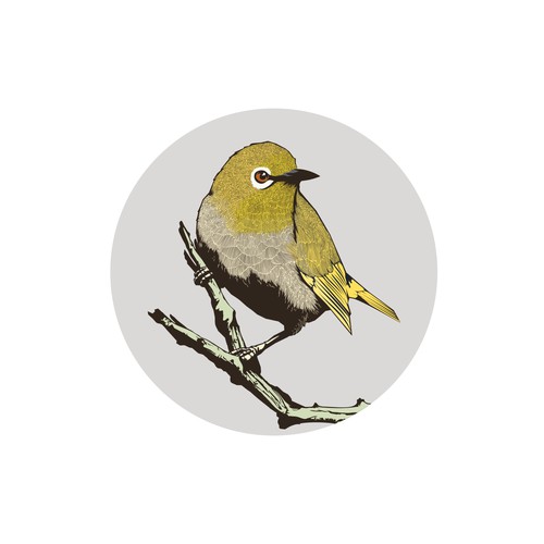 Detailed bird illustration