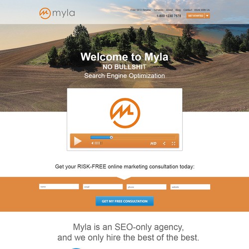 Web design - Homepage for SEO Professionals