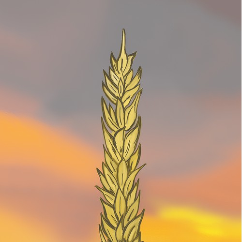 Wheat Ear