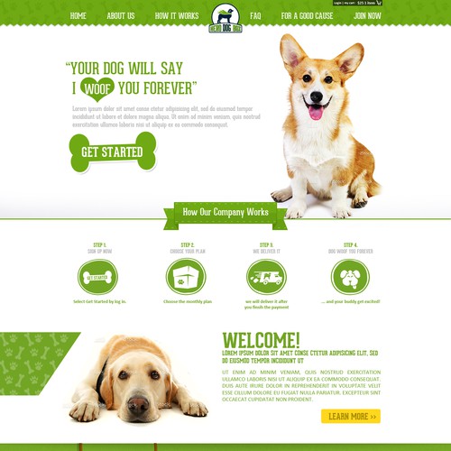 Create a winning website for Hero Dog Box!  A E-Commerce company that helps dogs around the world.