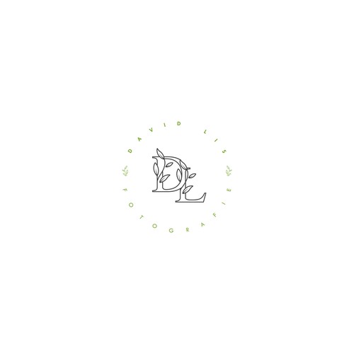Logo design for David Lis Photo