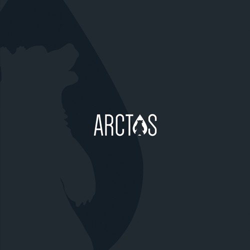 Logo design for Arctos company