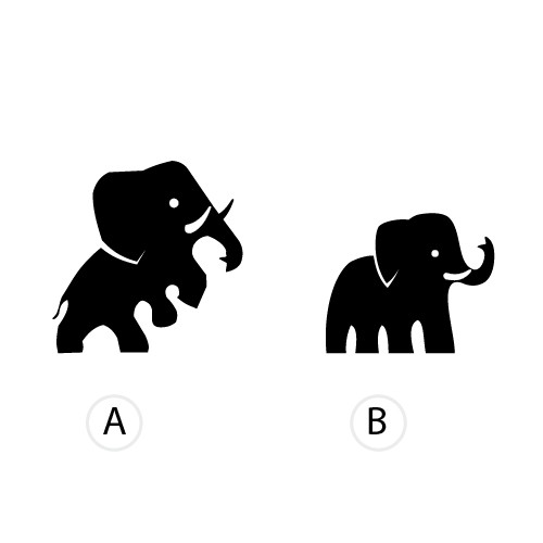 Illustration or graphics for a company