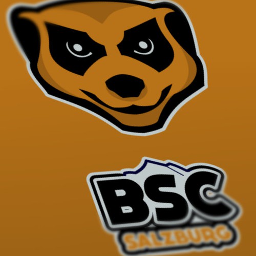 Logo für einen Basketballverein