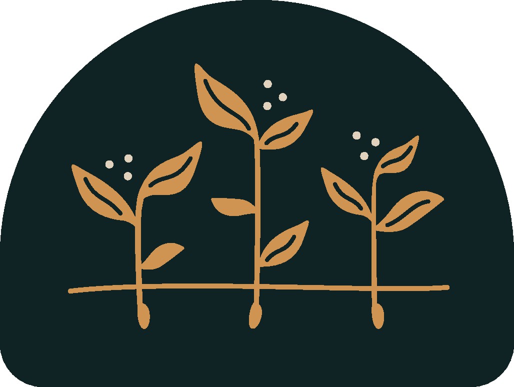 Non Profit Logo