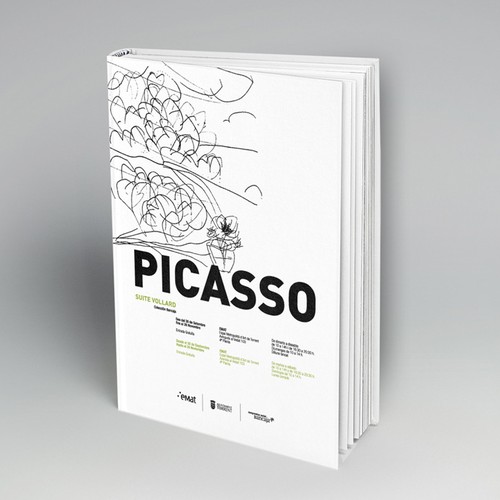 Picasso Book