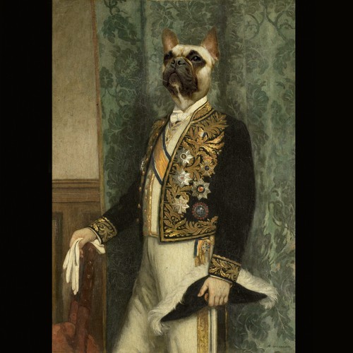 Aristocrat bull dog 