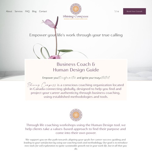 Shining Compass SEO and Updates
