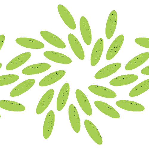 Repeating Brand Animation