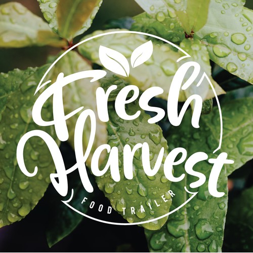 Fresh Harvest  