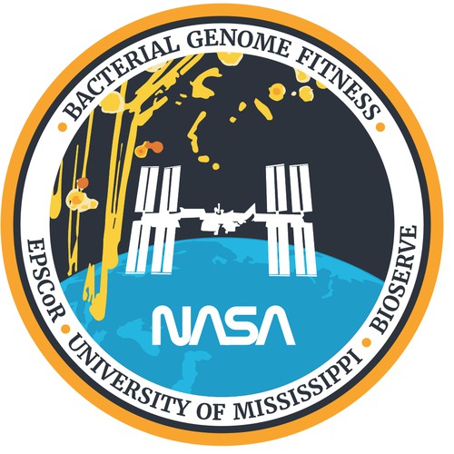 Spaceflight Mission Patch