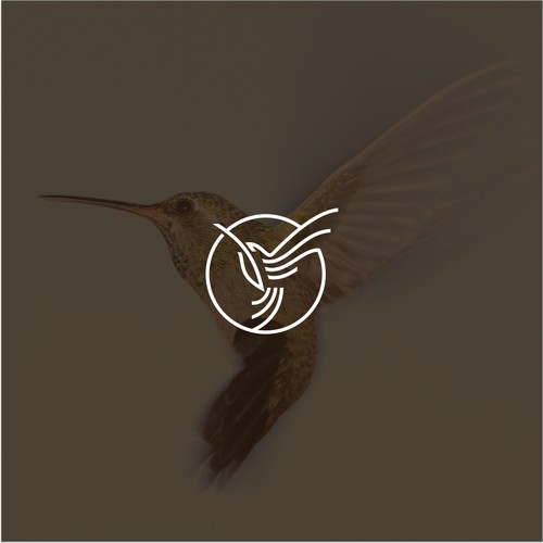 Hummingbird logo concept for DNZ