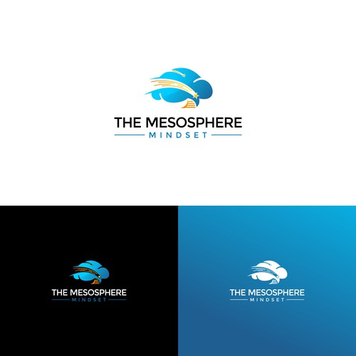 The Mesosphere Mindset