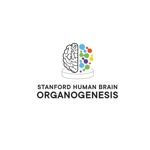 Brain Logo