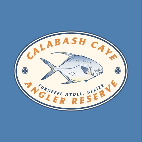 CCAR Design Submission