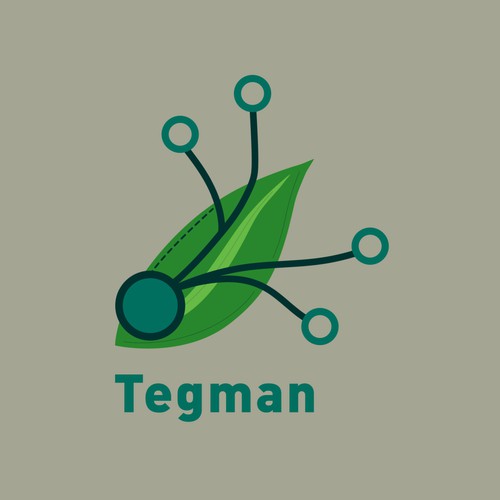 Illustrative Logo for Tegman