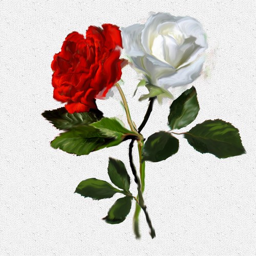 Entangled Roses illustration for YA novel