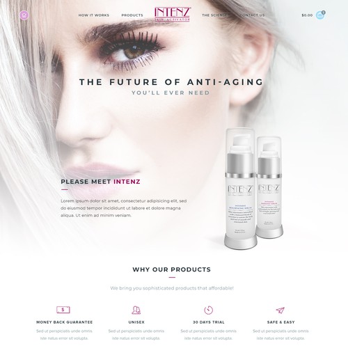 Intenz Web Page Design