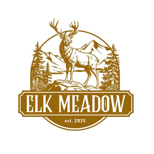 bold logo concept