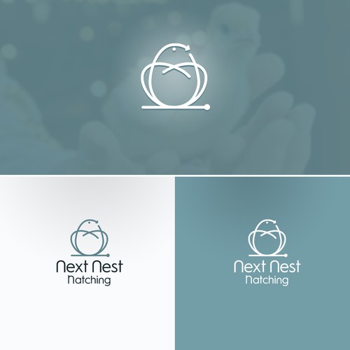 Next Nest Hatching