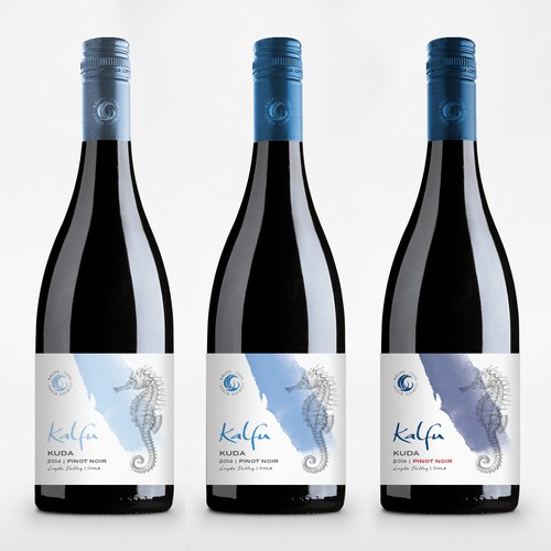 Exciting, Fun and Youthful Design For Chilean Wine