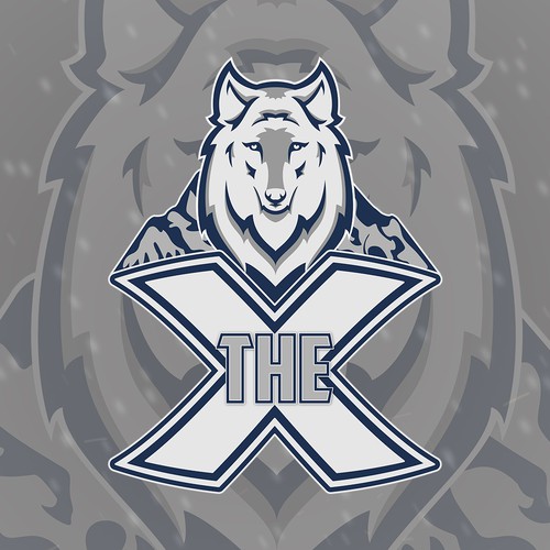 The X Logo