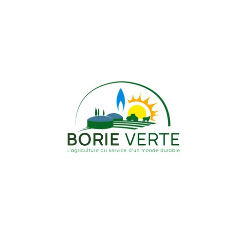 BORIE verte