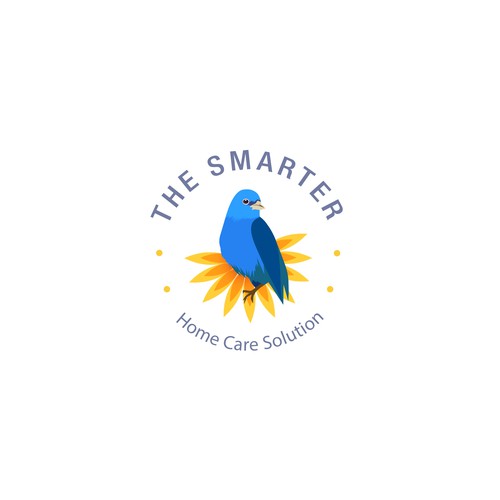 The SMARTER Home Care Solution