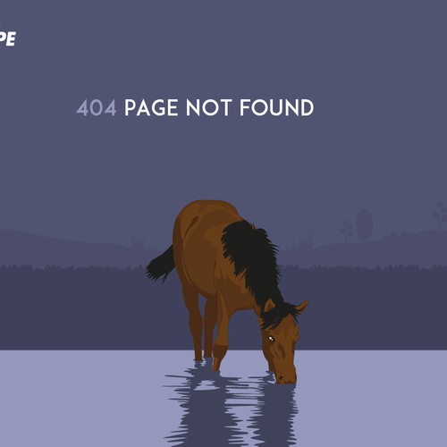 Equipe error page